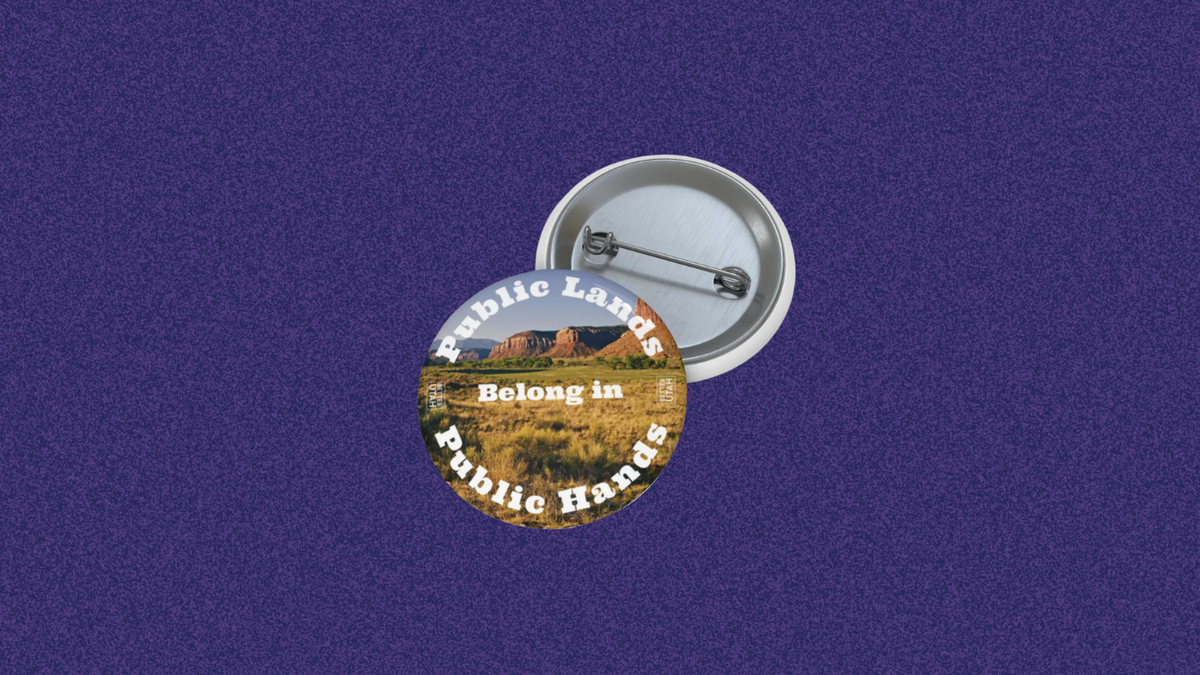 PINS