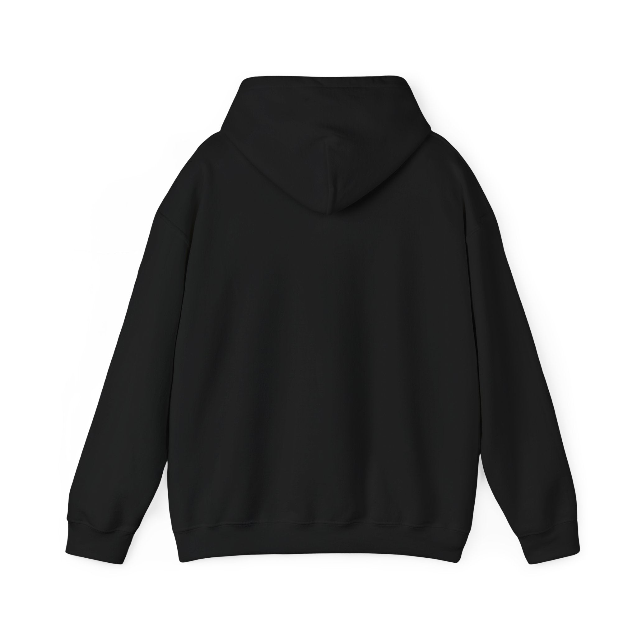 PROTECT OUR IMMIGRANT NEIGHBORS HOODIE