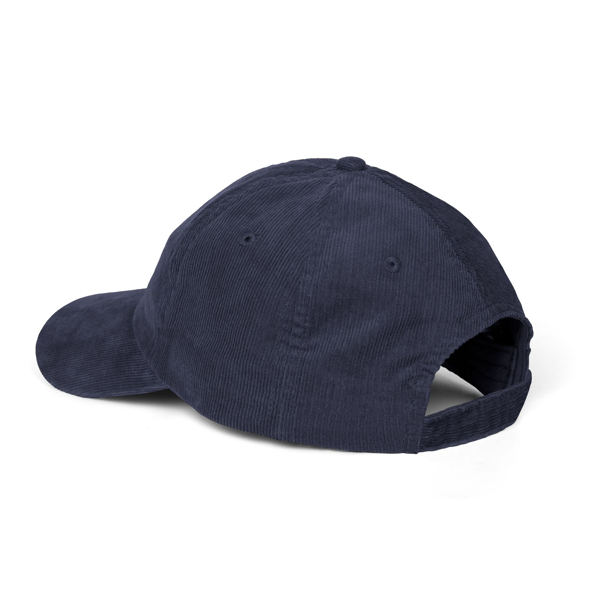 ALLIANCE FOR BETTER UTAH VINTAGE CORDUROY CAP HAT