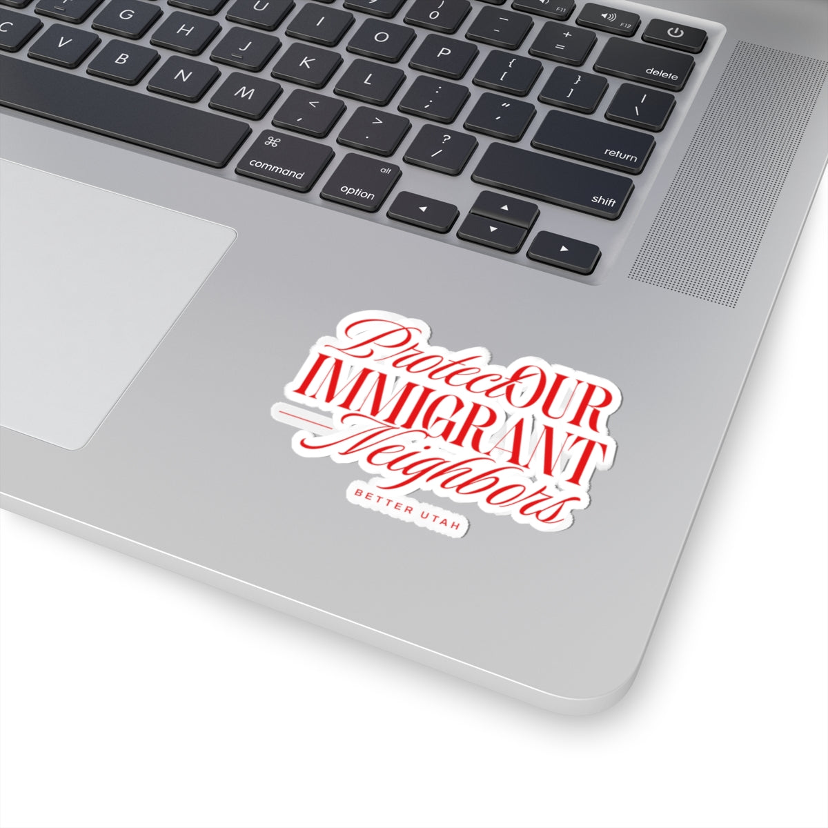 PROTECT OUR IMMIGRANT NEIGHBORS STICKER