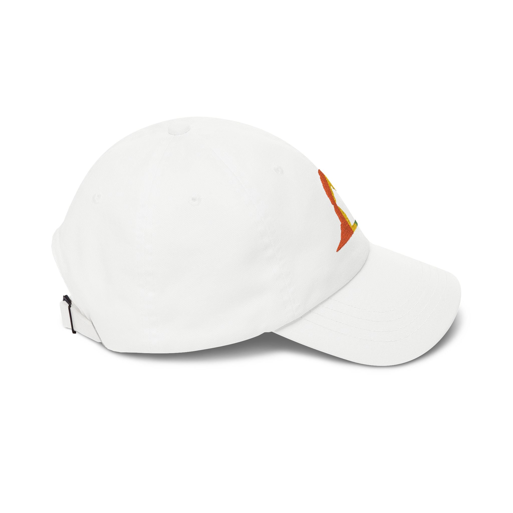 RAINBOW DELICATE ARCH DAD HAT
