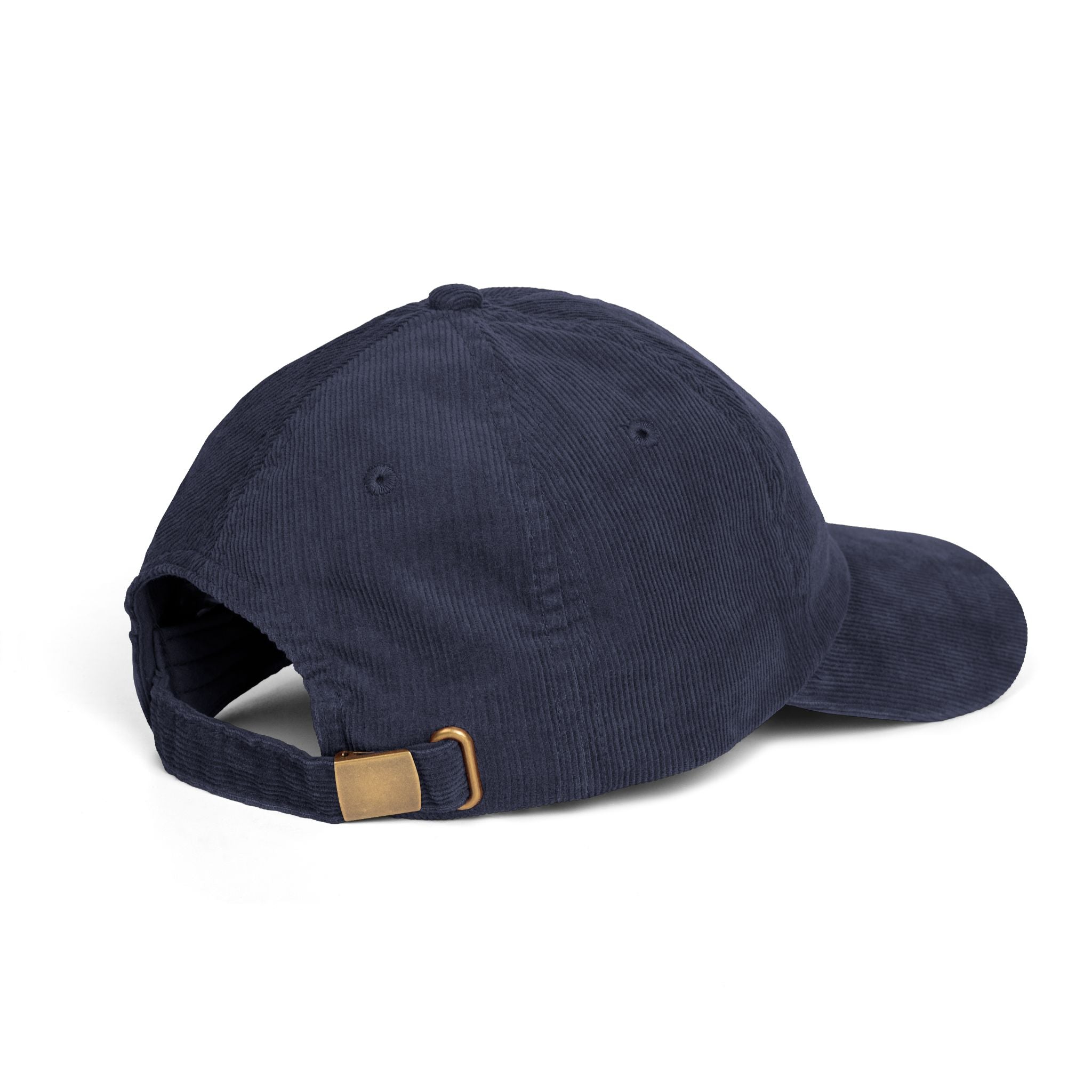 ALLIANCE FOR BETTER UTAH VINTAGE CORDUROY CAP HAT