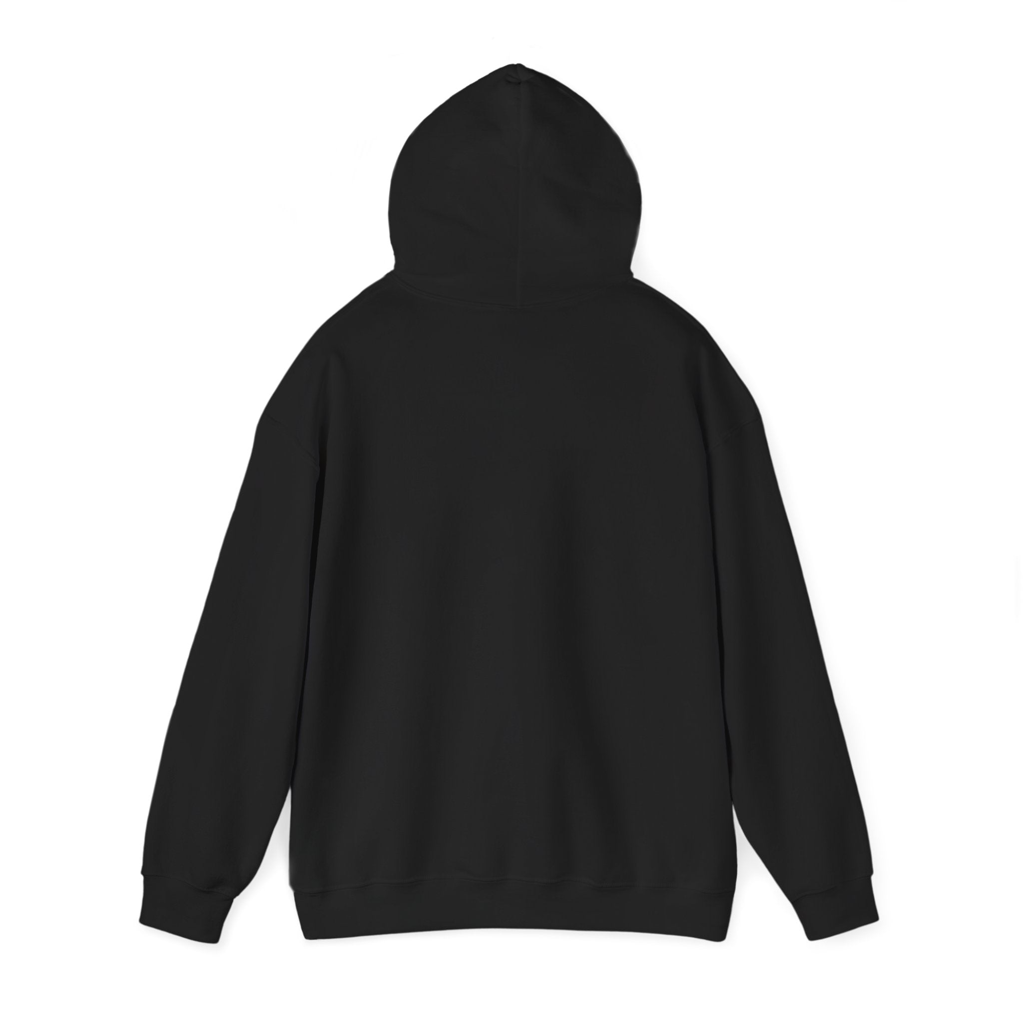 PROTECT OUR IMMIGRANT NEIGHBORS HOODIE