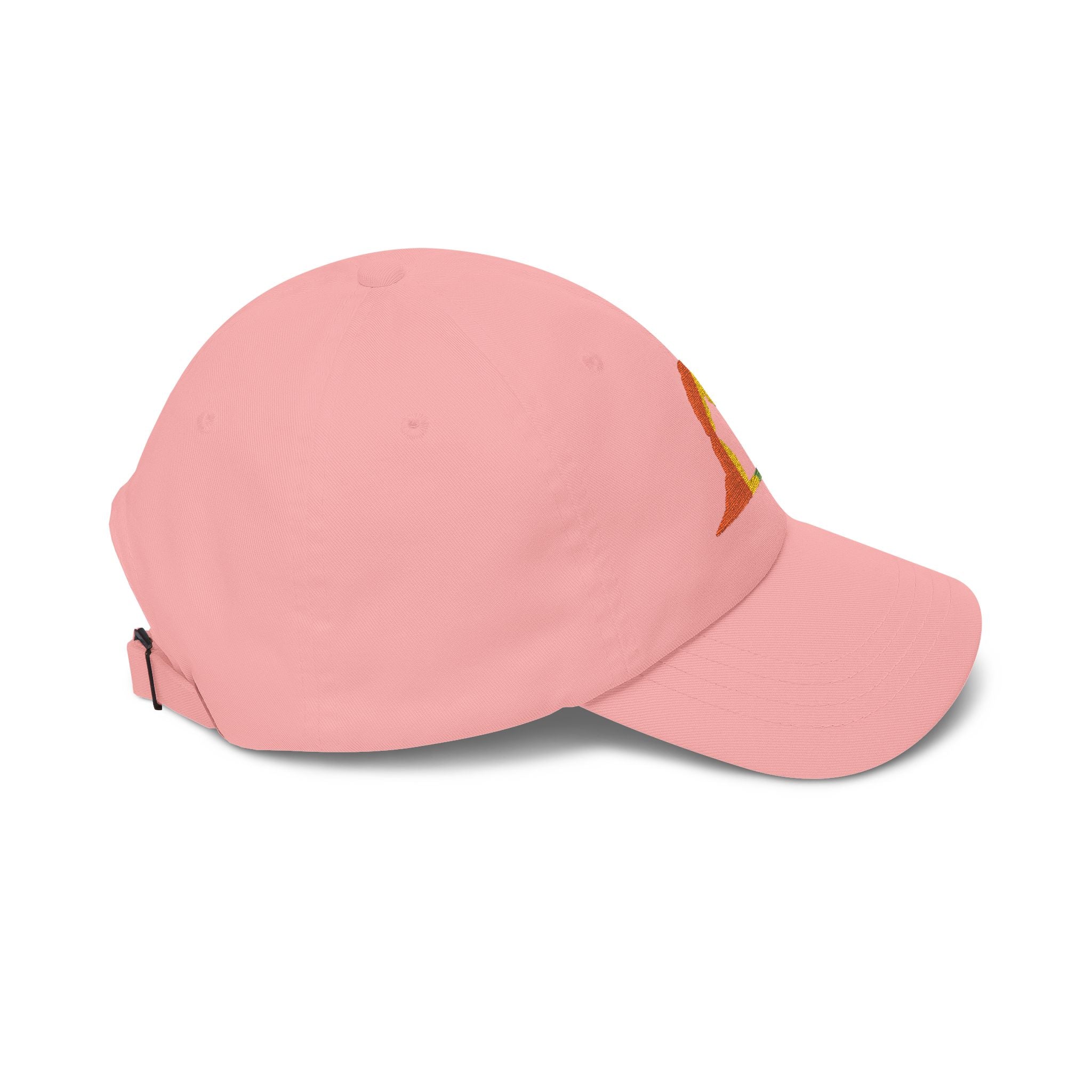 RAINBOW DELICATE ARCH DAD HAT