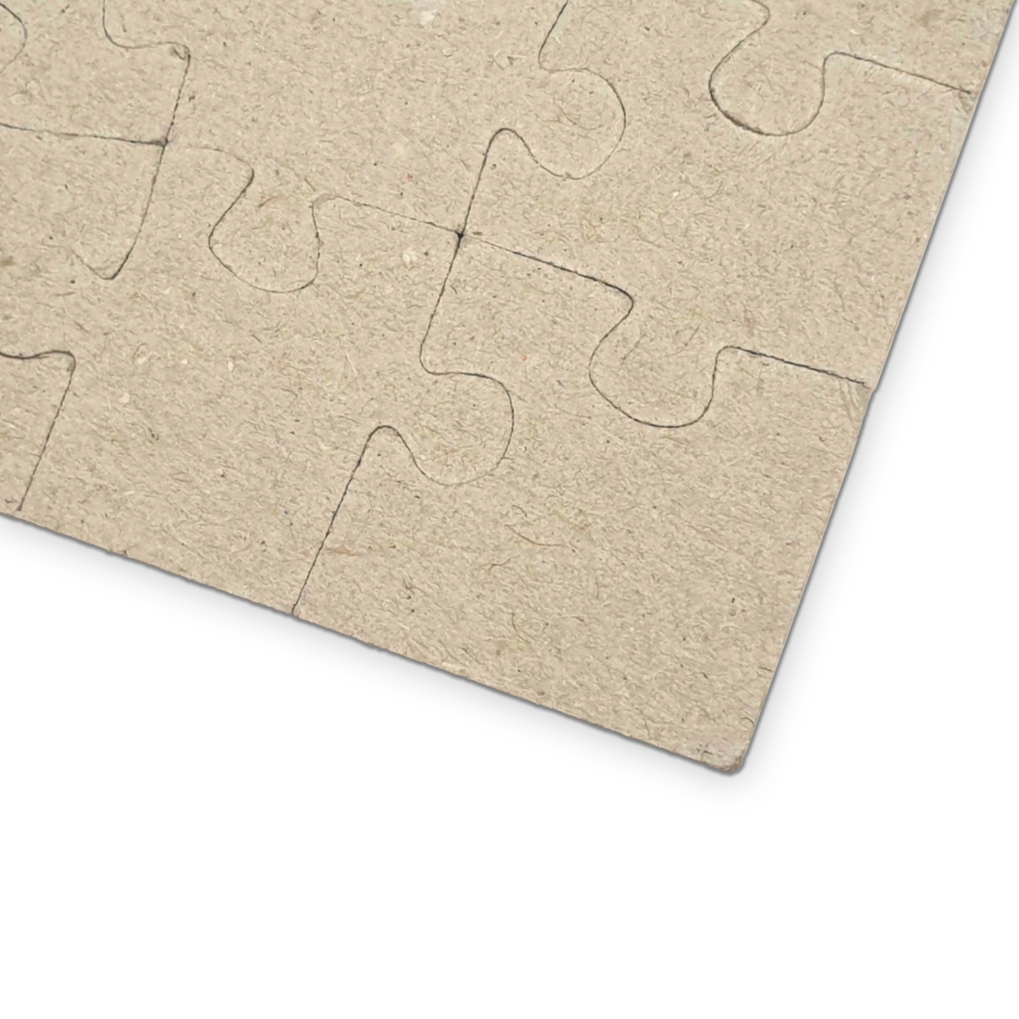 PUBLIC LANDS BELONG TO PUBLIC HANDS 100 PC PUZZLE