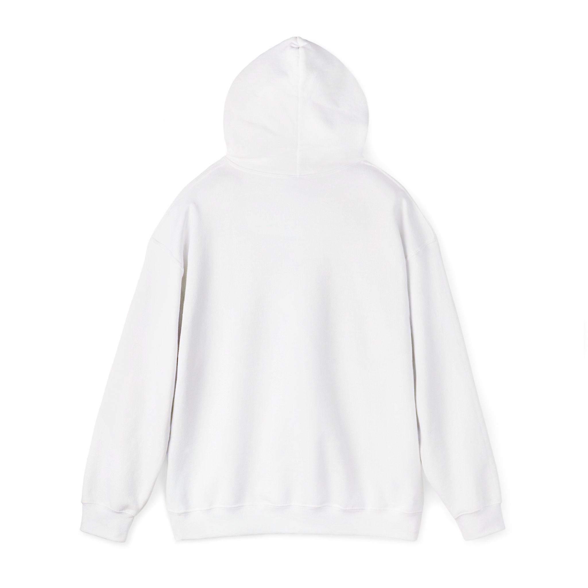 PROTECT OUR IMMIGRANT NEIGHBORS HOODIE