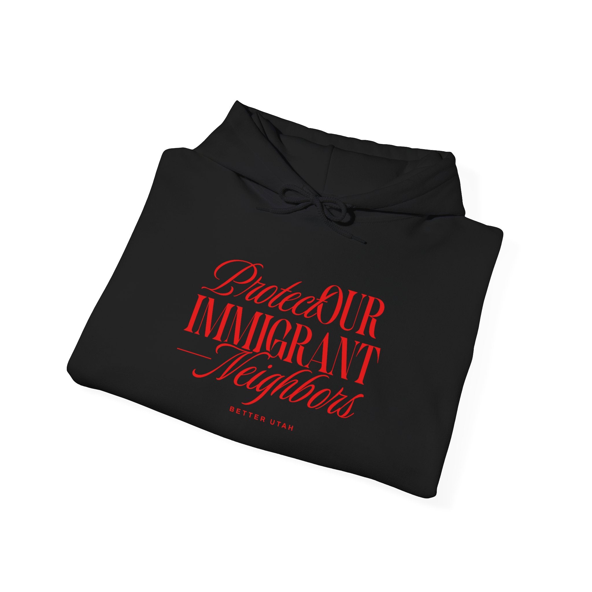 PROTECT OUR IMMIGRANT NEIGHBORS HOODIE